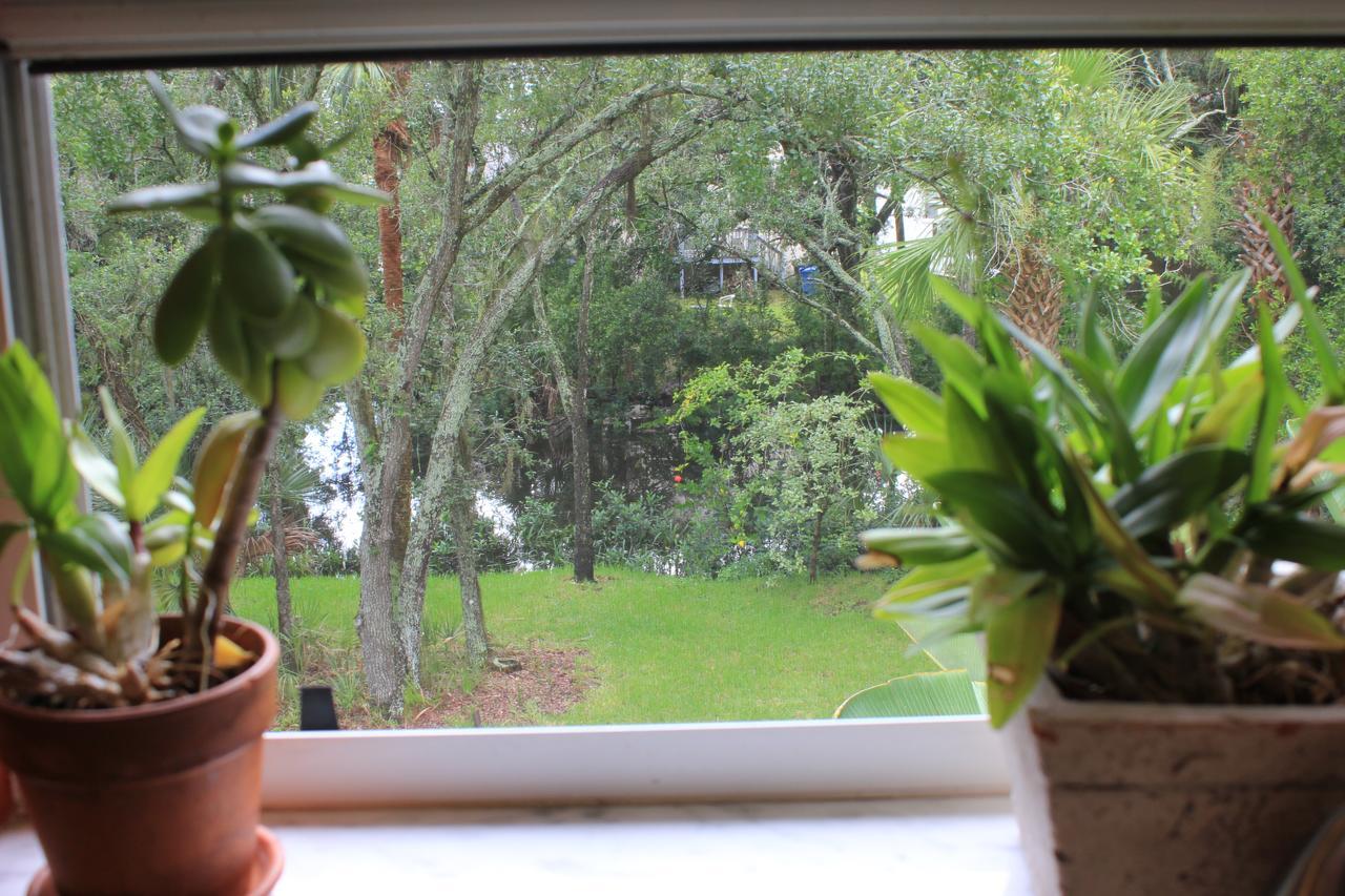 Treehouse Villa Tampa Eksteriør bilde